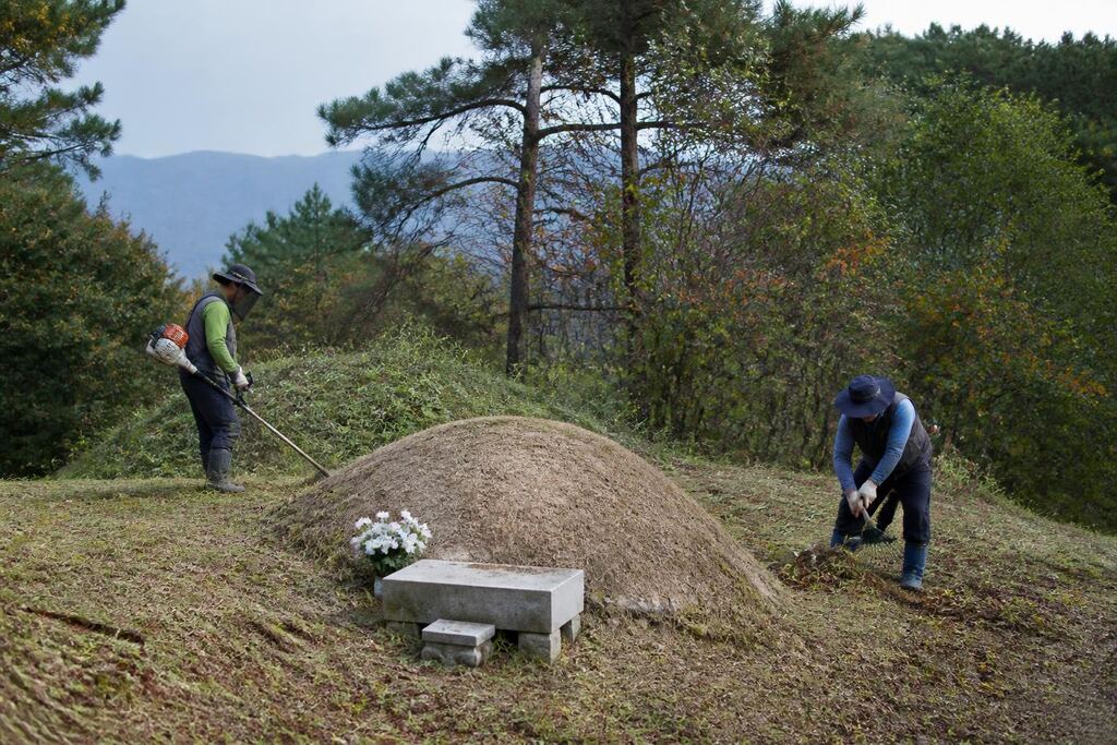 강원특별자치도 묘지관리 작업 범위와 현장 조건 이미지