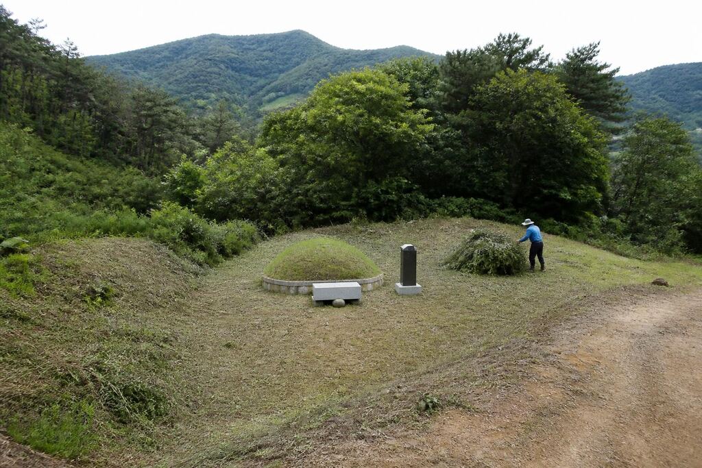 경남 묘지관리 비용과 업체 비교 정보 이미지