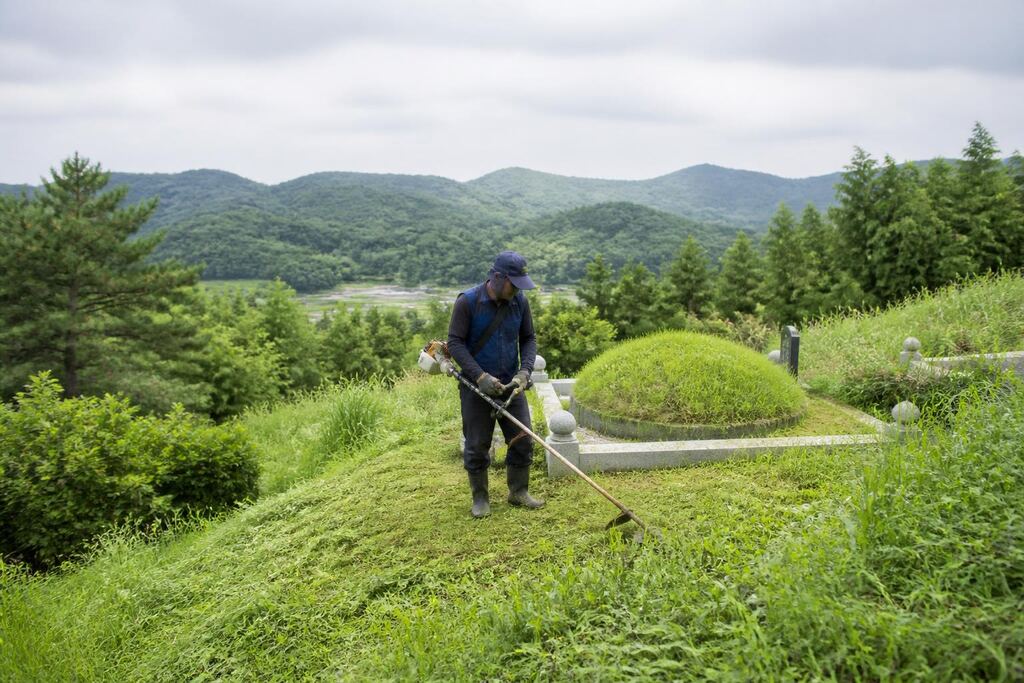 전남광주통합특별시 묘지관리 이미지