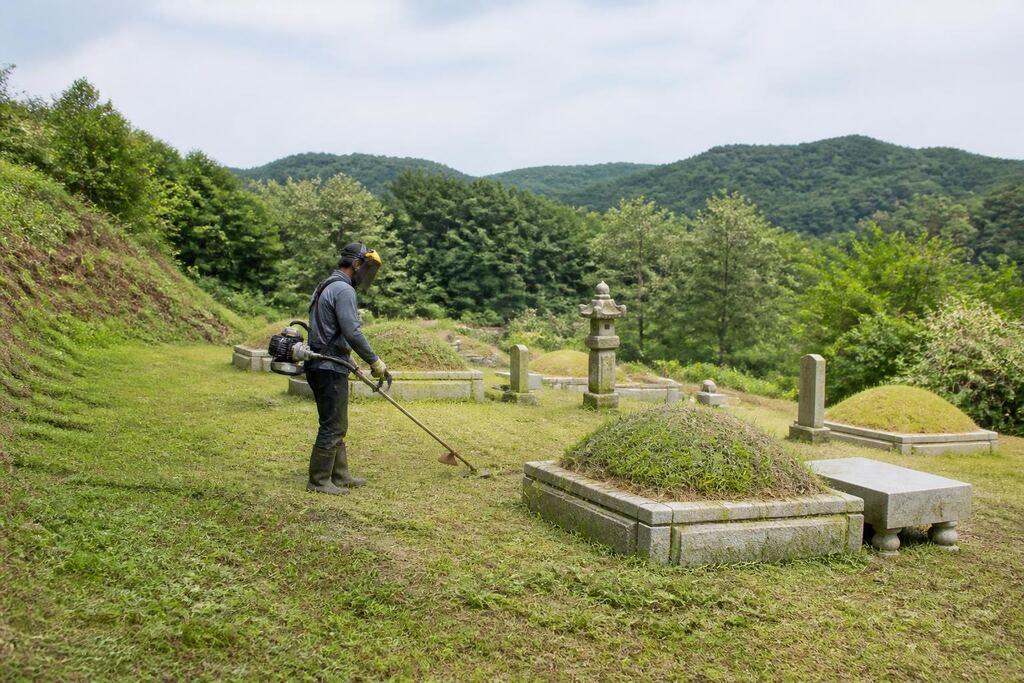 세종특별자치시 묘지관리 이미지