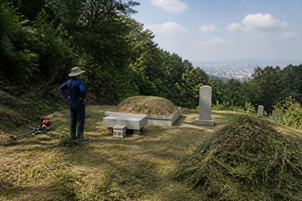 서울 벌초 비용과 업체 비교 정보 이미지