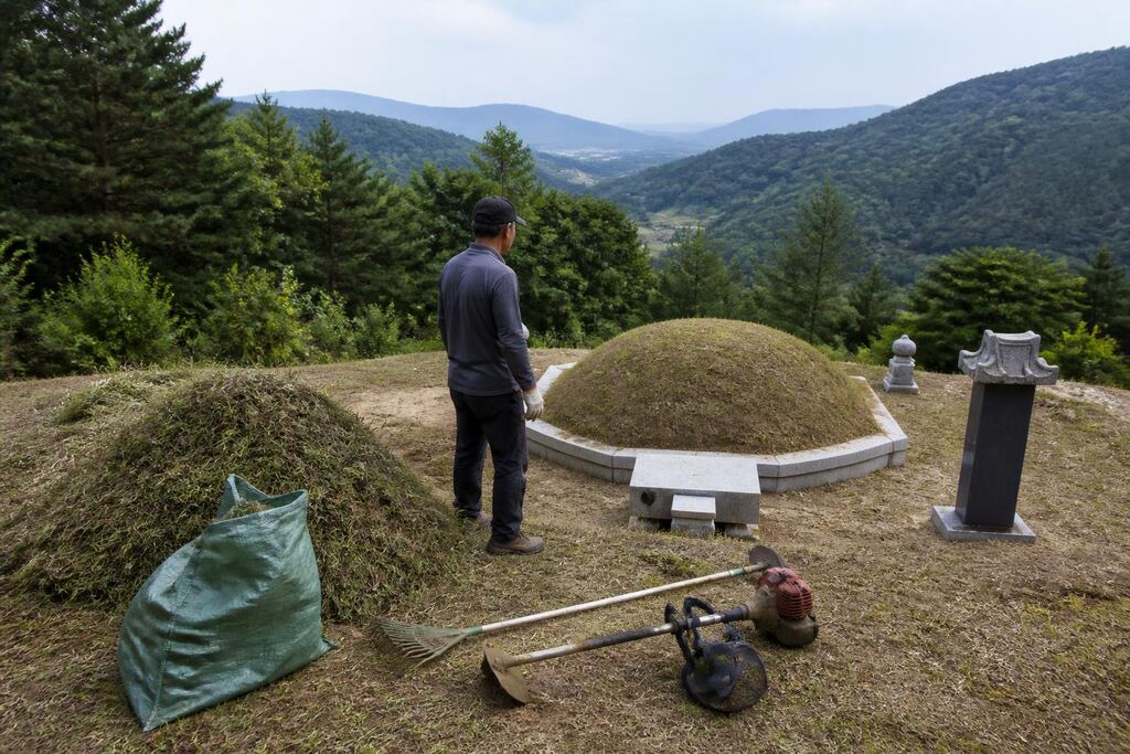 충북 벌초 비용과 업체 비교 정보 이미지