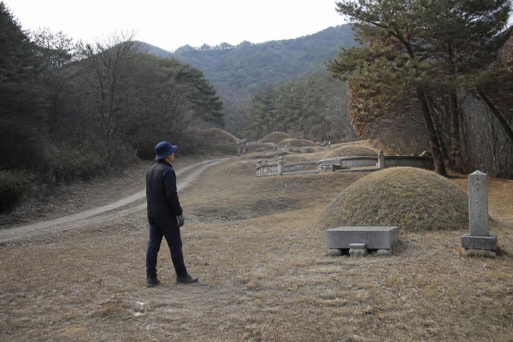 충남 벌초 작업 범위와 현장 조건 이미지