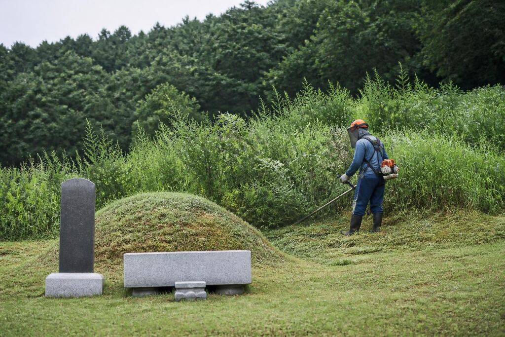 전북특별자치도 벌초 작업 범위와 현장 조건 이미지