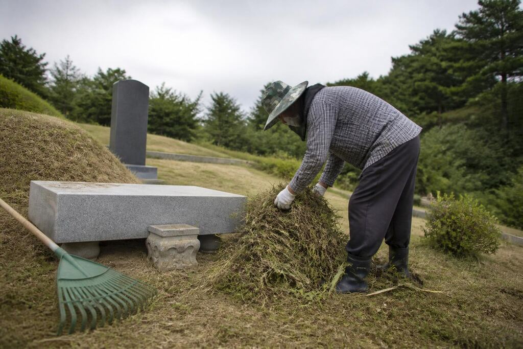 경북 벌초 비용과 업체 비교 정보 이미지