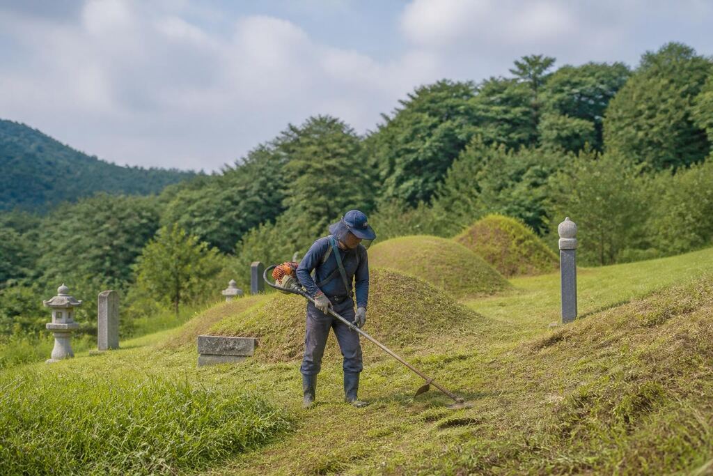 전남광주통합특별시 벌초 이미지