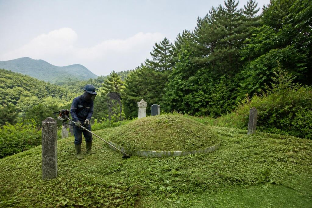 대구 벌초 이미지