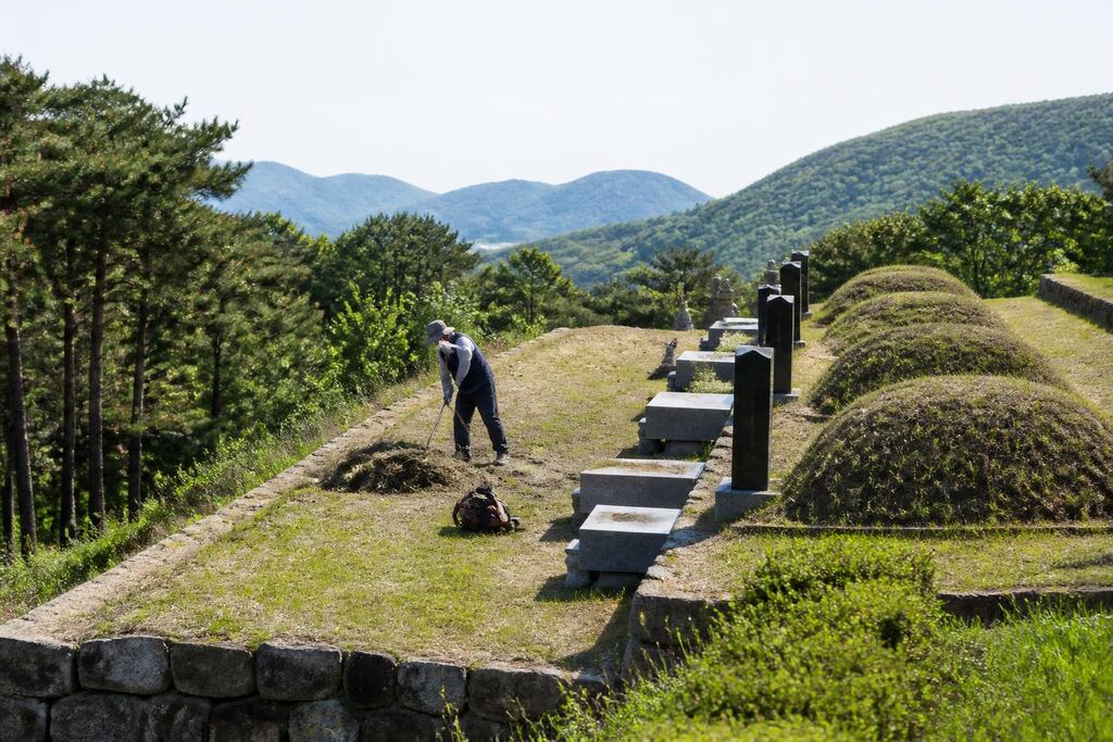 대구 벌초 비용과 업체 비교 정보 이미지