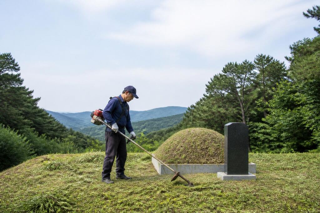 경기 벌초 이미지
