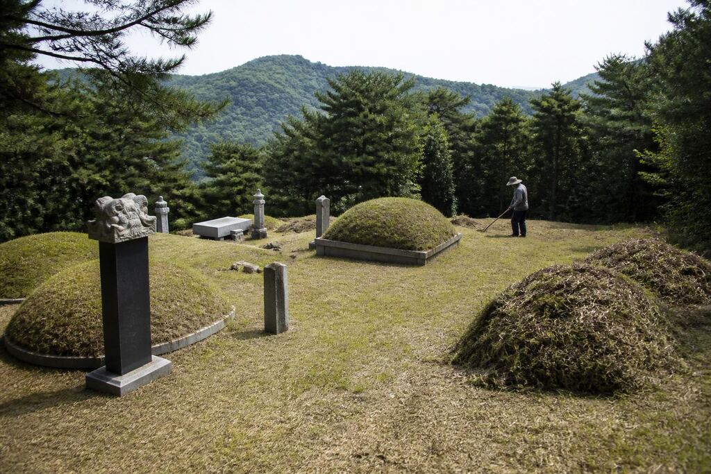 경기 벌초 비용과 업체 비교 정보 이미지