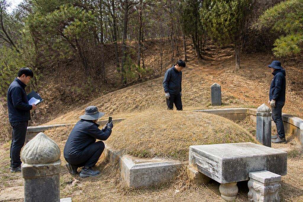 강원특별자치도 묘지이장 작업 범위와 현장 조건 이미지