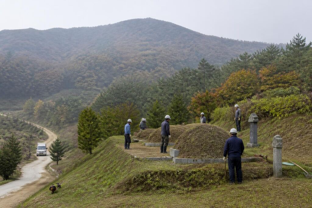 대구 묘지이장 작업 범위와 현장 조건 이미지