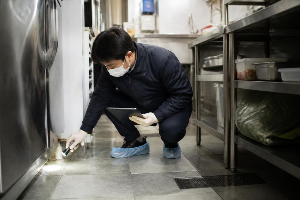울산 날벌레·기타 해충 작업 범위와 현장 조건 이미지