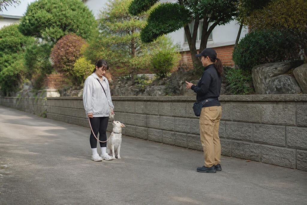 충남 기본 훈련 작업 범위와 현장 조건 이미지