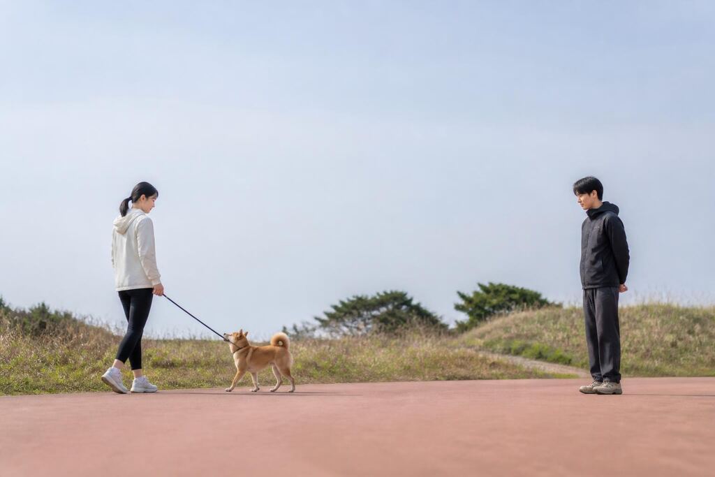 제주특별자치도 기본 훈련 비용과 업체 비교 정보 이미지
