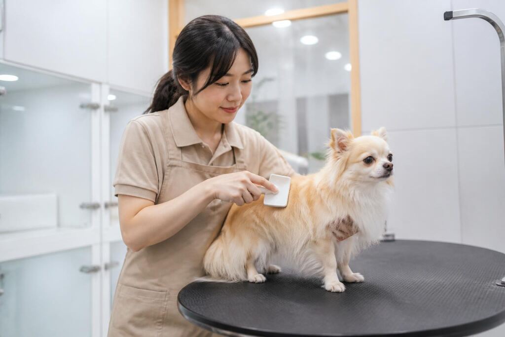 서울 목욕·위생관리 작업 범위와 현장 조건 이미지