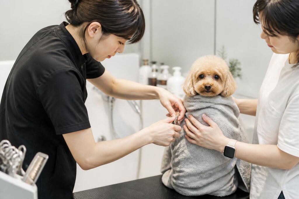 강원특별자치도 목욕·위생관리 비용과 업체 비교 정보 이미지