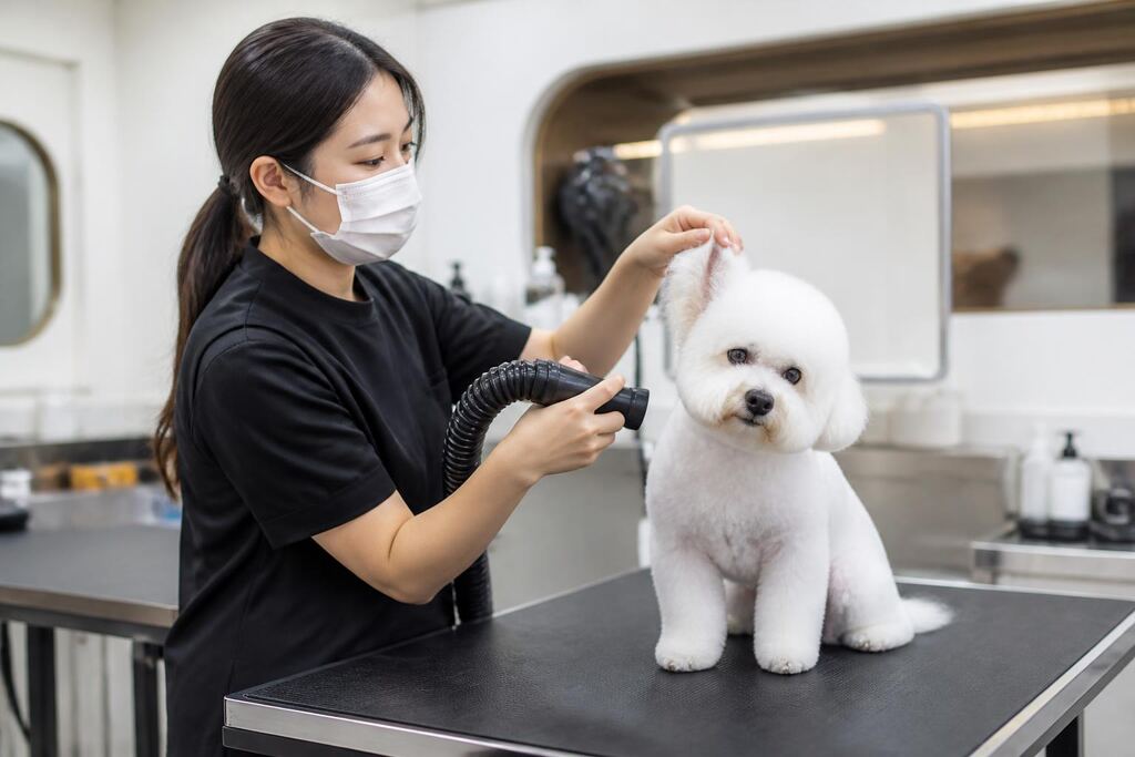 충남 목욕·위생관리 비용과 업체 비교 정보 이미지