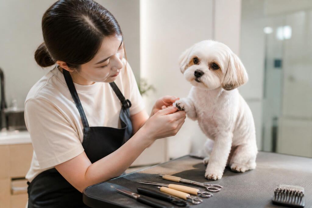 부산 목욕·위생관리 작업 범위와 현장 조건 이미지