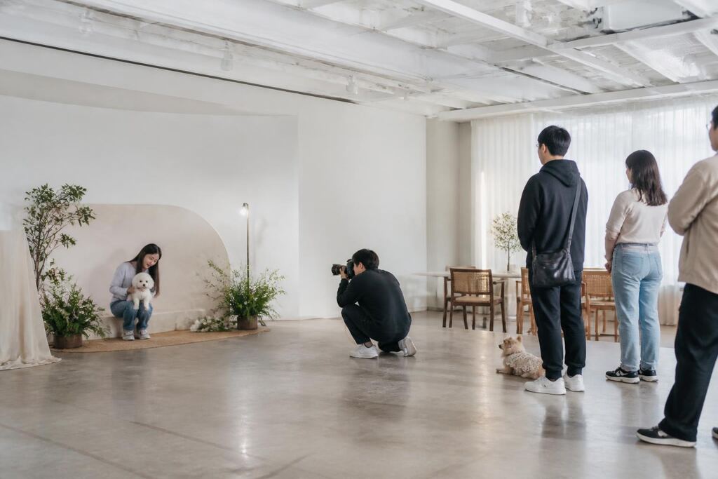 강원특별자치도 반려동물 행사·파티 비용과 업체 비교 정보 이미지