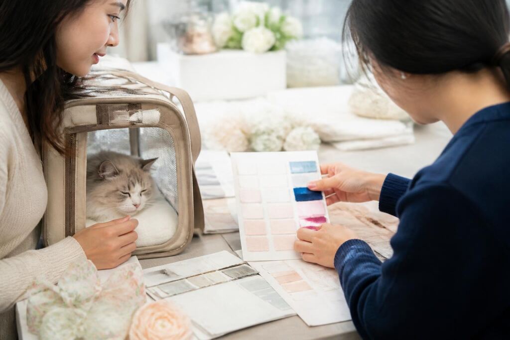 서울 종로구 반려동물 행사·파티 작업 범위와 현장 조건 이미지