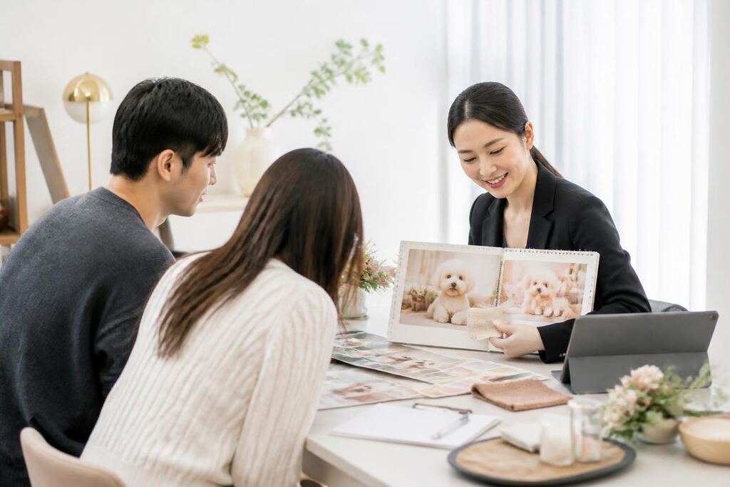 세종특별자치시 반려동물 행사·파티 작업 범위와 현장 조건 이미지