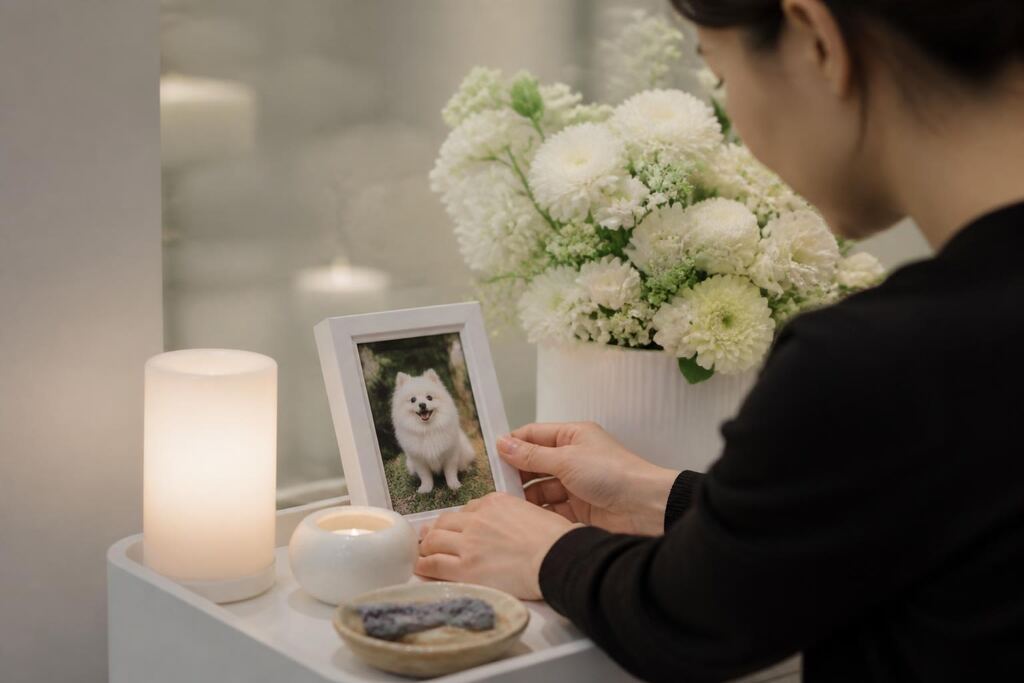 충북 반려동물 장례 작업 범위와 현장 조건 이미지