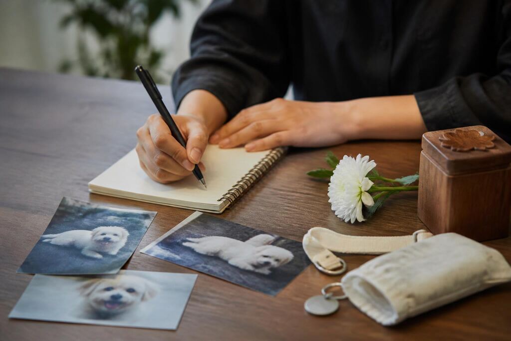 제주특별자치도 반려동물 장례 작업 범위와 현장 조건 이미지
