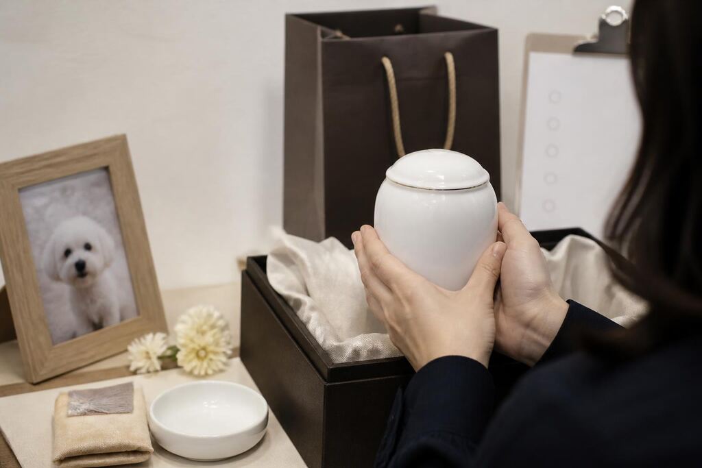 부산 반려동물 장례 비용과 업체 비교 정보 이미지
