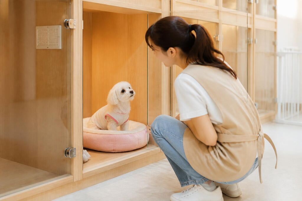경북 반려동물 호텔 이미지
