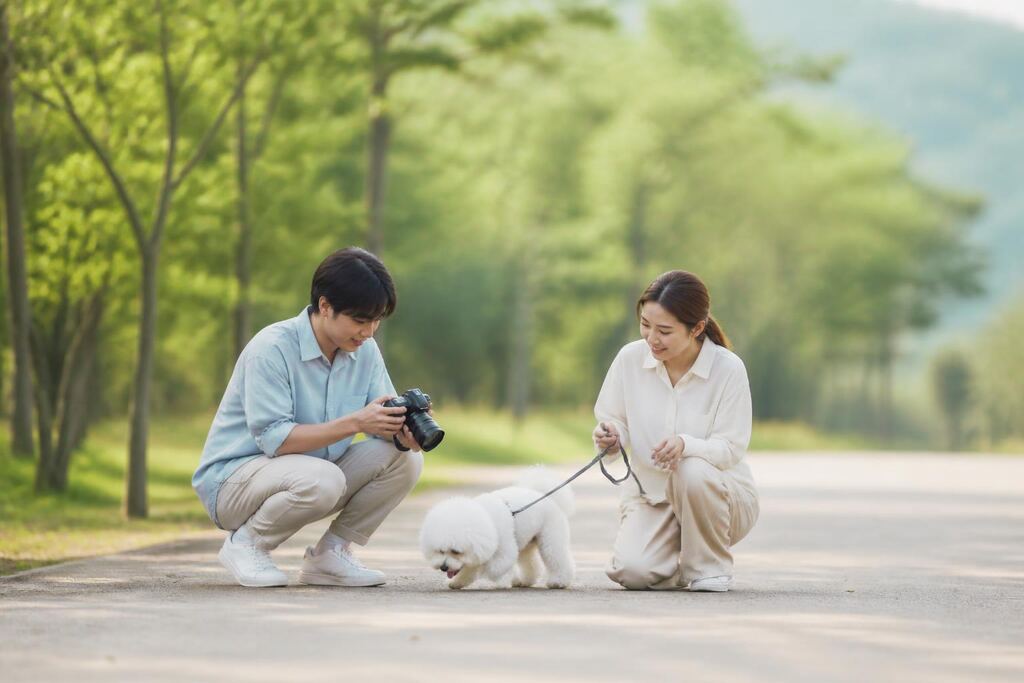 강원특별자치도 반려동물 촬영 비용과 업체 비교 정보 이미지