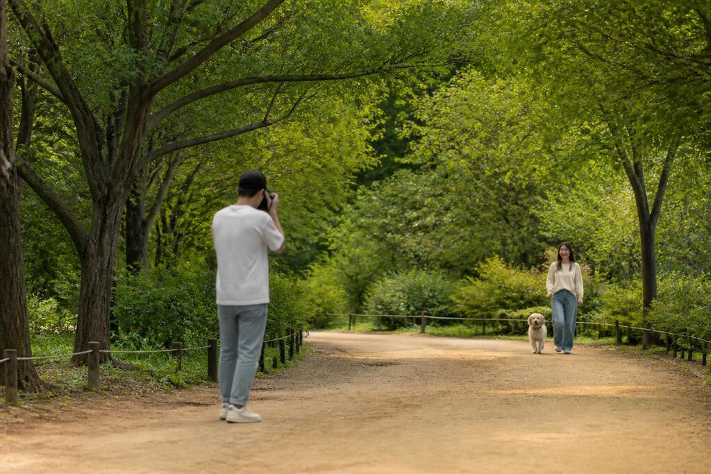 충북 반려동물 촬영 비용과 업체 비교 정보 이미지