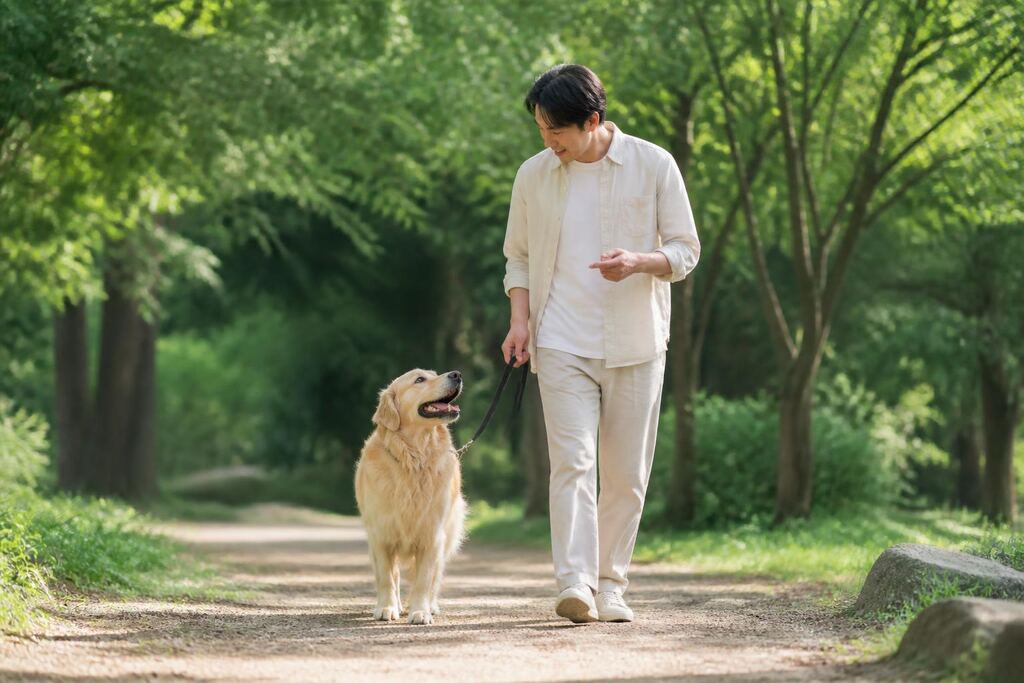 전북특별자치도 반려동물 촬영 비용과 업체 비교 정보 이미지