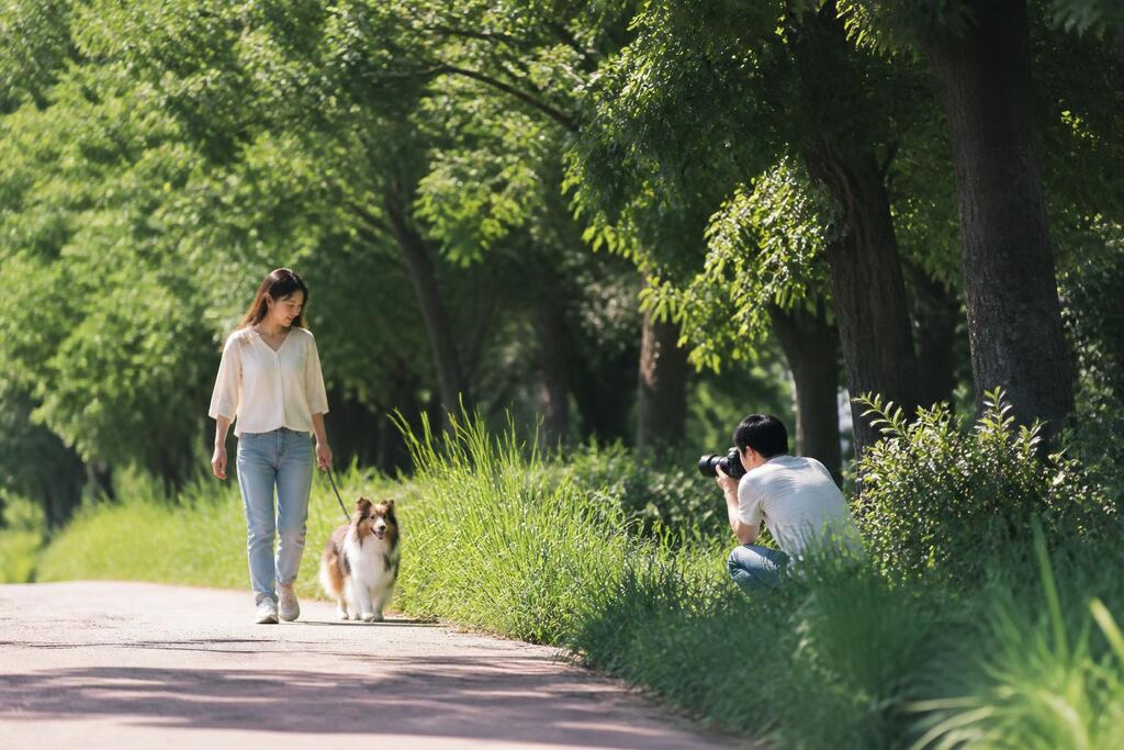 경남 반려동물 촬영 비용과 업체 비교 정보 이미지