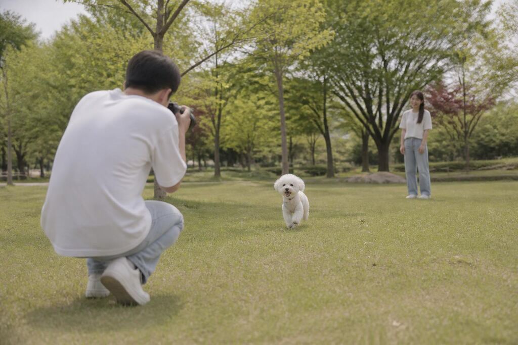 전남광주통합특별시 반려동물 촬영 작업 범위와 현장 조건 이미지