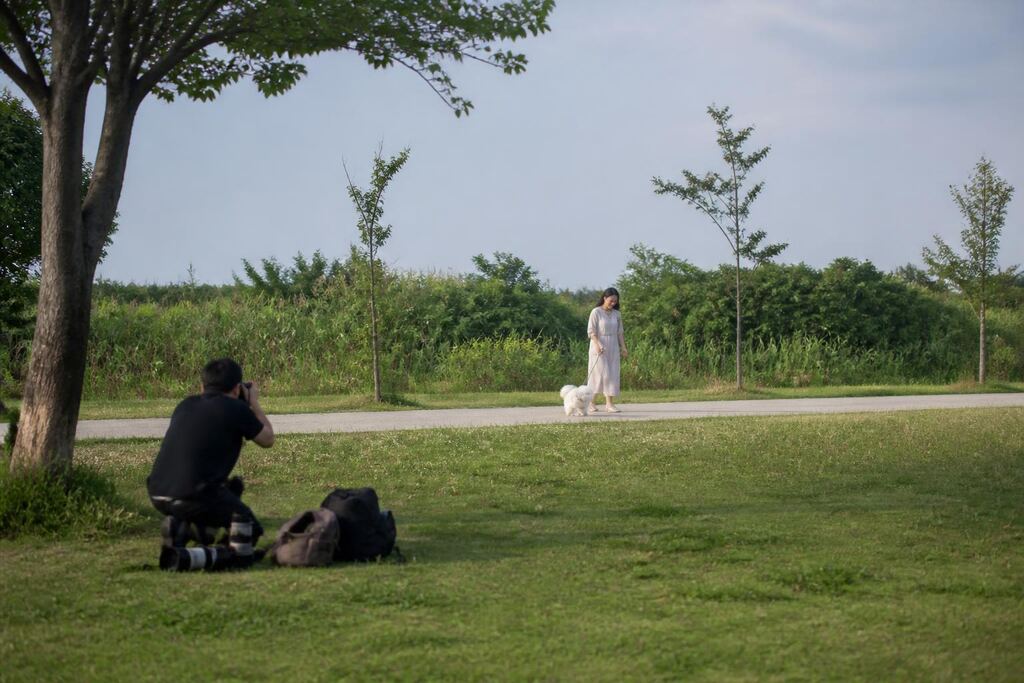 인천 반려동물 촬영 비용과 업체 비교 정보 이미지