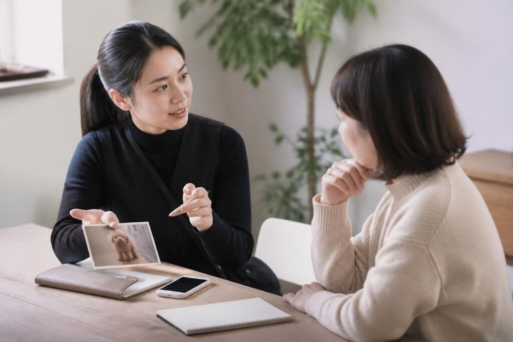 서울 종로구 방문 펫시팅 비용과 업체 비교 정보 이미지