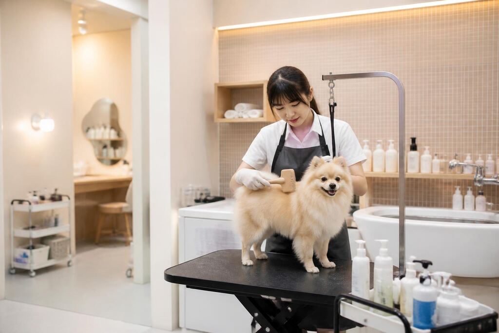 울산 스파·피부케어 작업 범위와 현장 조건 이미지