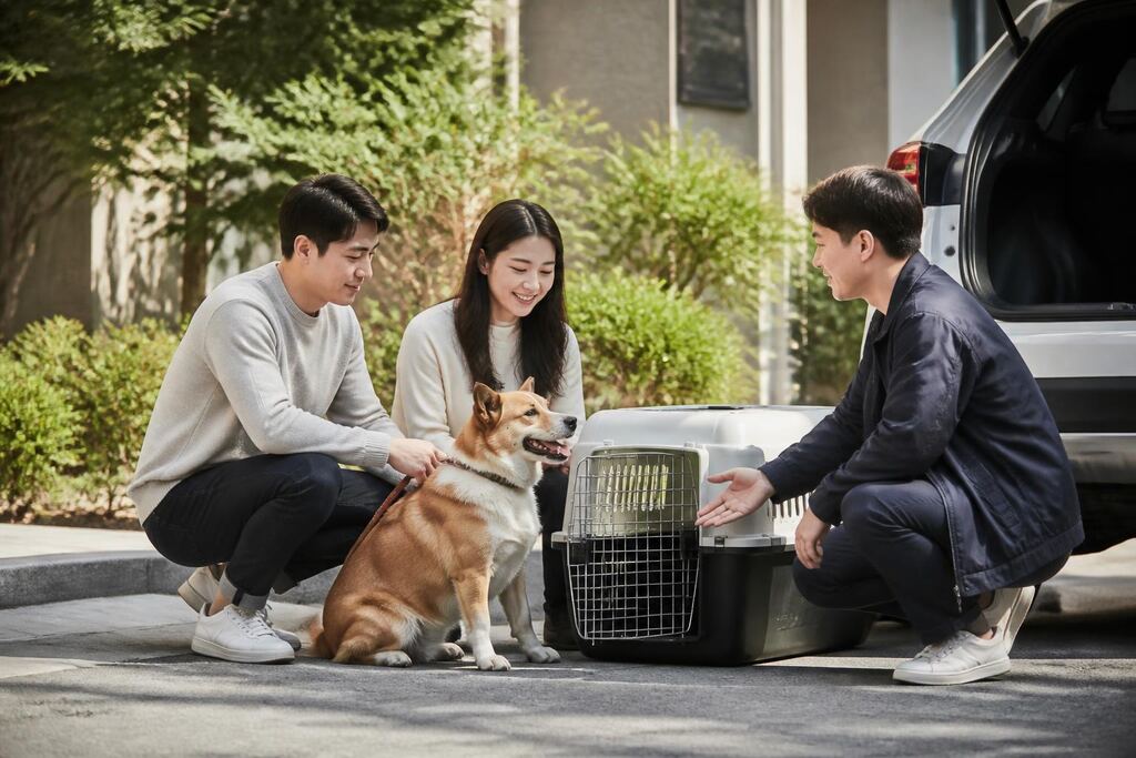 대전 반려동물 이동서비스 이미지