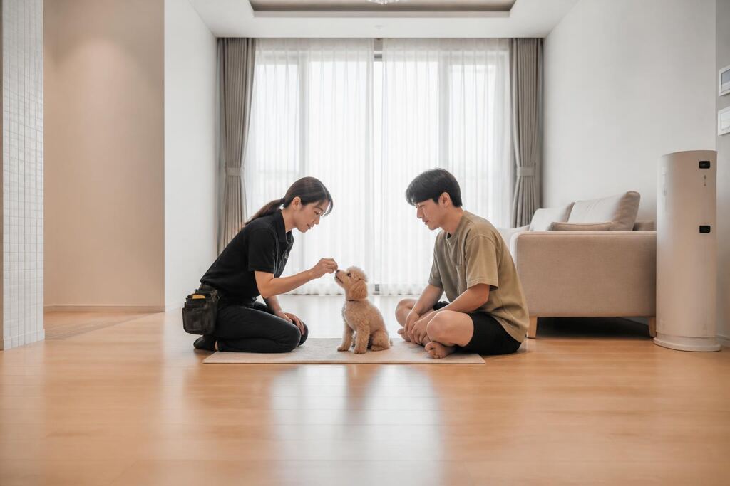 대구 방문 훈련 이미지