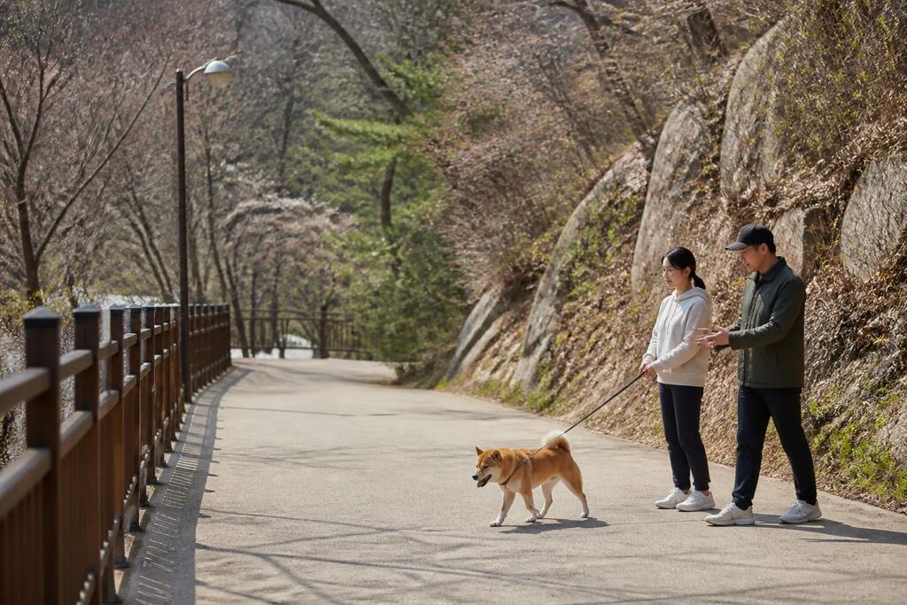 대구 방문 훈련 비용과 업체 비교 정보 이미지