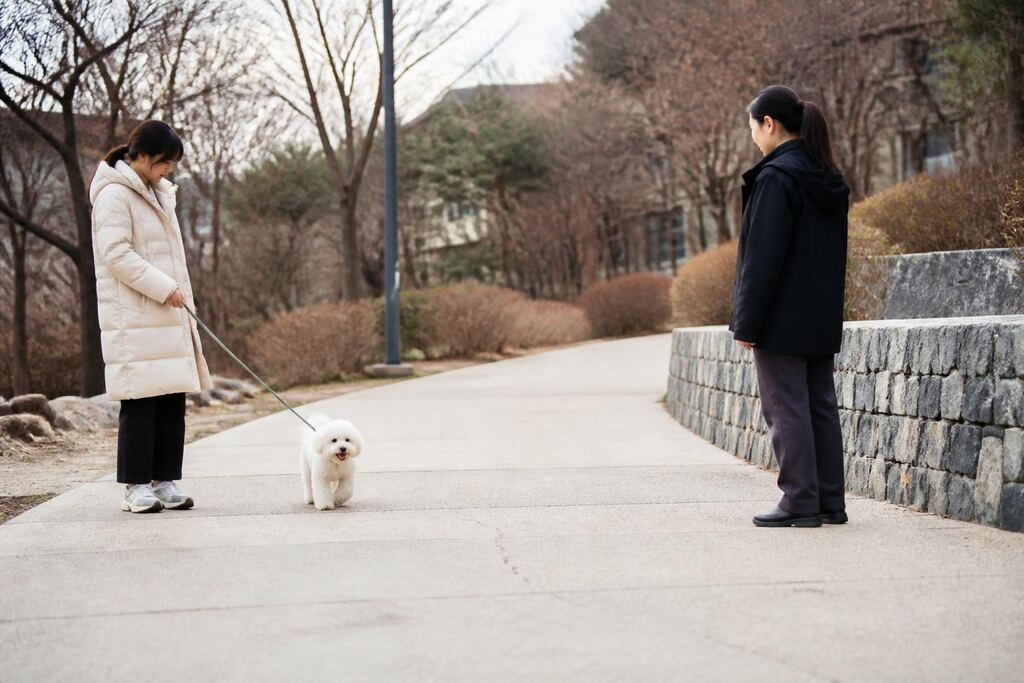 대전 방문 훈련 비용과 업체 비교 정보 이미지