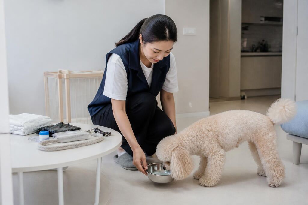 강원특별자치도 산책·돌봄 작업 범위와 현장 조건 이미지