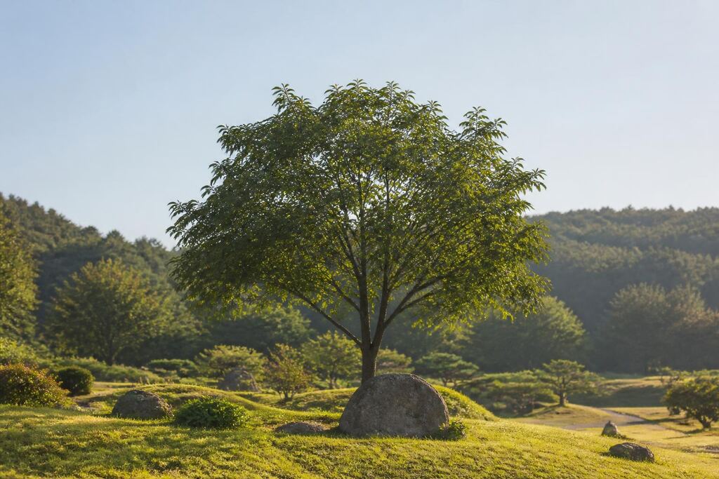 경북 수목장 이미지