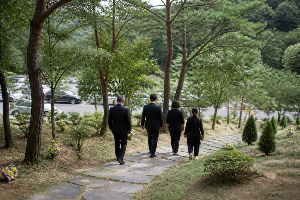 대구 수목장 비용과 업체 비교 정보 이미지