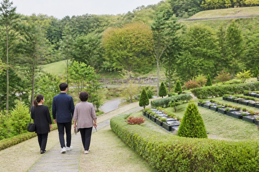 대전 수목장 비용과 업체 비교 정보 이미지