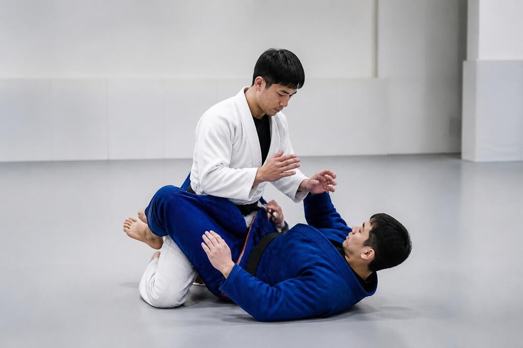 서울 노원구 주짓수 이미지