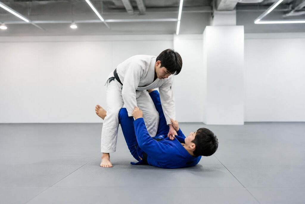 서울 양천구 주짓수 이미지