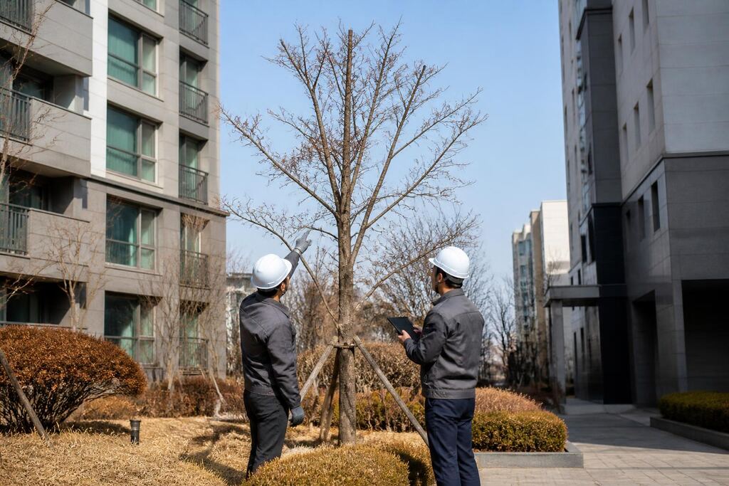 서울 구로구 고사목 제거 이미지