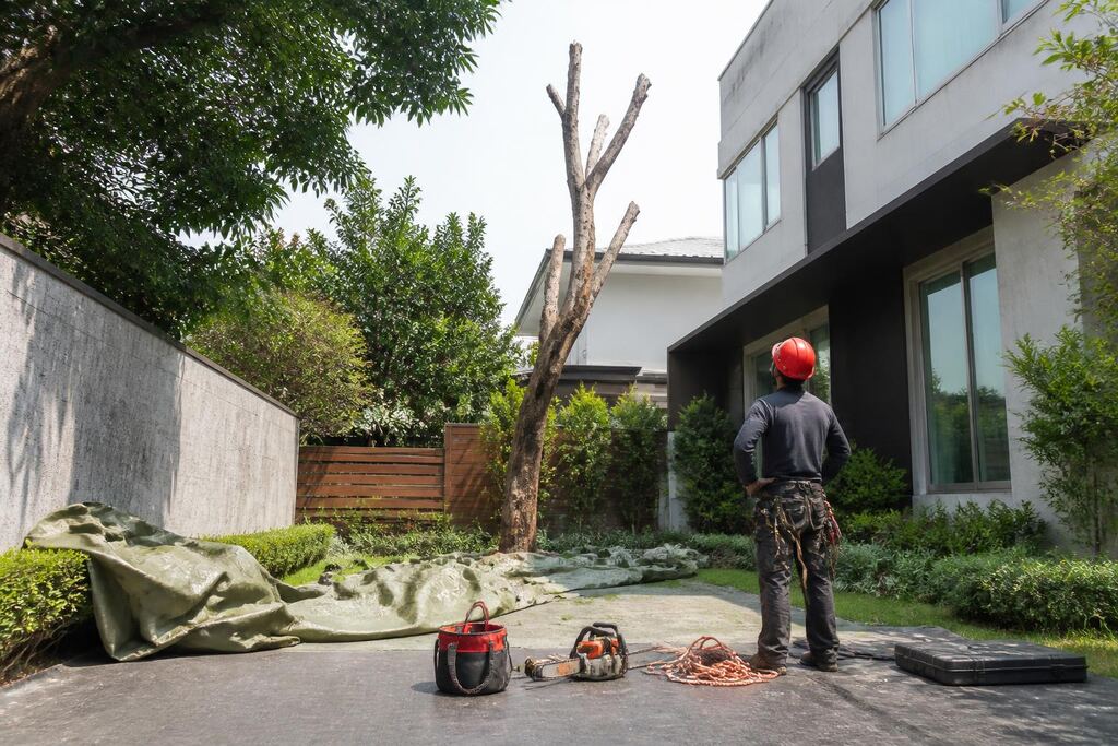 서울 구로구 고사목 제거 작업 범위와 현장 조건 이미지